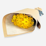 Daffodil Bouquet - 30 Stems