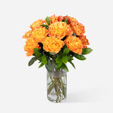 Orange Garden Roses