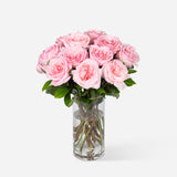 Pink Garden Roses