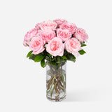 Pink Garden Roses