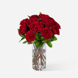 Red Garden Roses