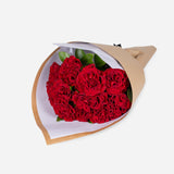 Red Garden Roses