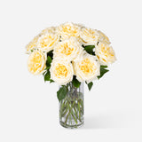 White Garden Roses