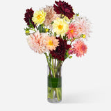 Mixed Market Dahlia