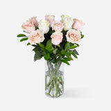 Pastel Harmony Roses