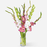 Mixed Gladioli
