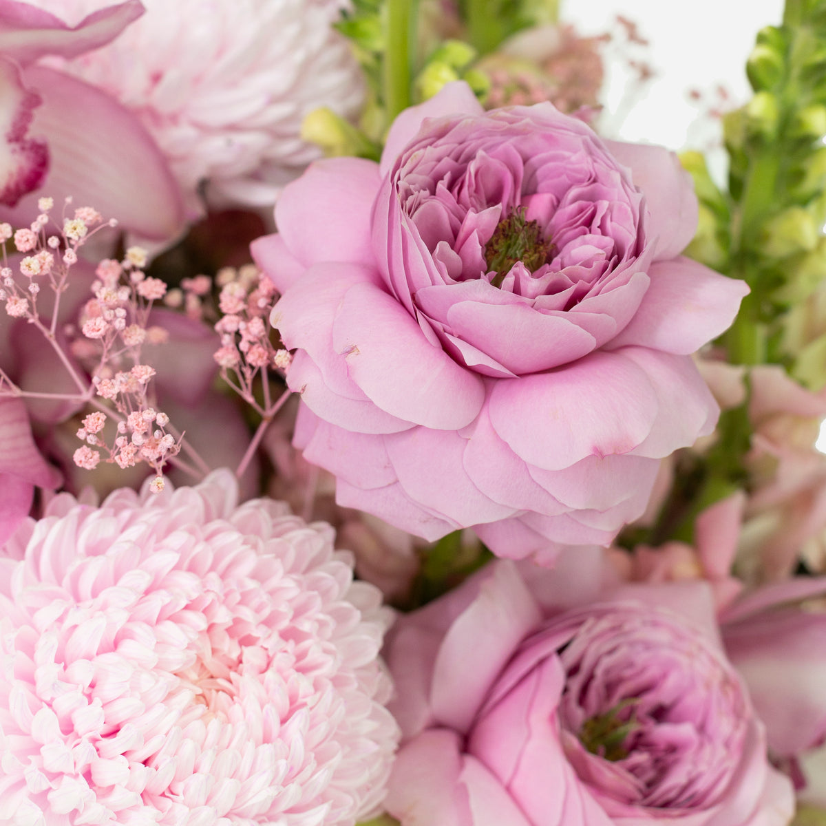 Market Flowers Auckland