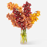 Mixed Market Autumnal Orchids