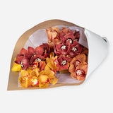 Mixed Market Autumnal Orchids