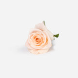 Peach Sorbet Bouquet