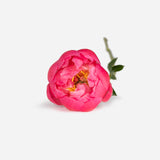 Coral Market Peonies