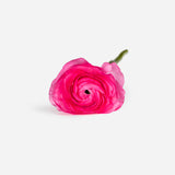 Mixed Market Ranunculous