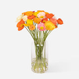 Mixed Market Poppies