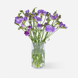 Market Freesia