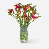 Market Freesia