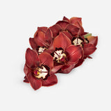 Mixed Market Calla-Lilies