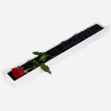 Single Red Rose Box