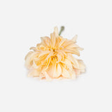 Peach Sorbet Bouquet