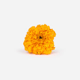 Bright Florist Valentines Bouquet