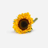Bright Florist Valentines Bouquet