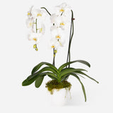 Double Orchids (Ceramic)