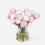 Mixed Market Peony-Chysanthemums