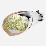White Stock Bouquet