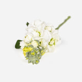 White Stock Bouquet
