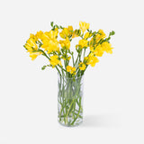 Market Freesia