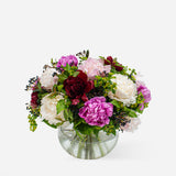 Premium Mixed Peonies