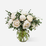 Premium White Peonies