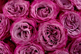 Market Purple Roses