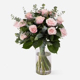 Premium Pink Roses