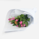 Pink Market Tulips