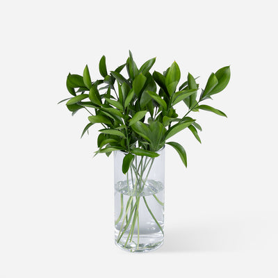 Bouquet Greenery