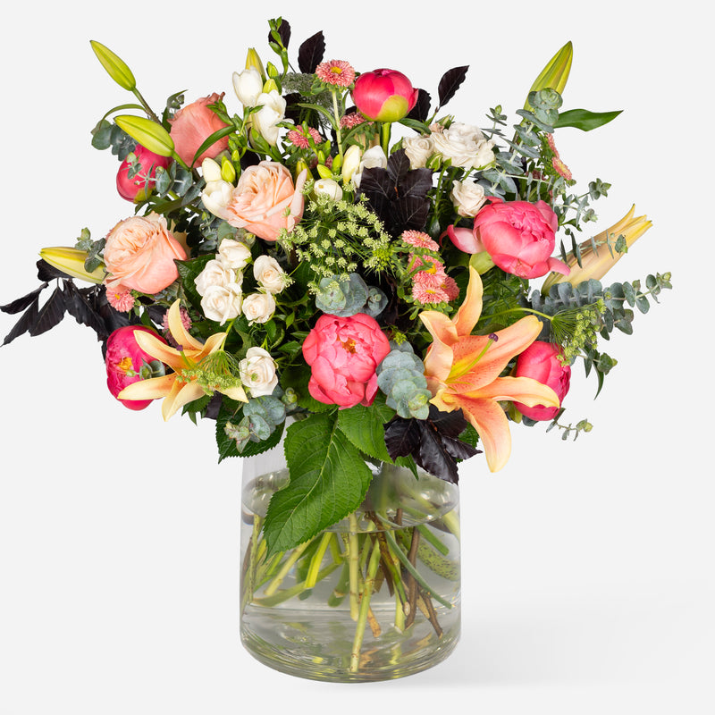 Coral Peonies Garden Mix