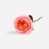 Mother's Day Blushing Petal Roses