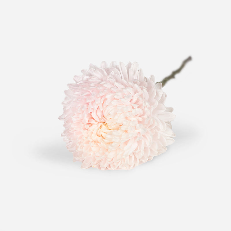 Mixed Market Peony-Chysanthemums