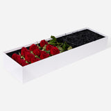 Luxury Rose Box