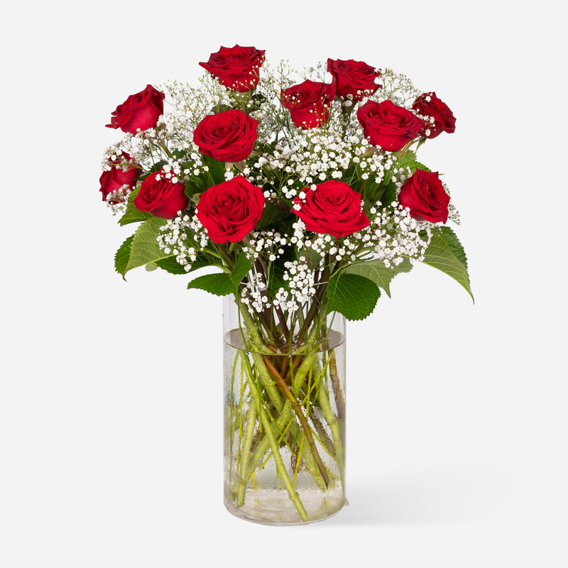 Red Roses with White Gypsophila