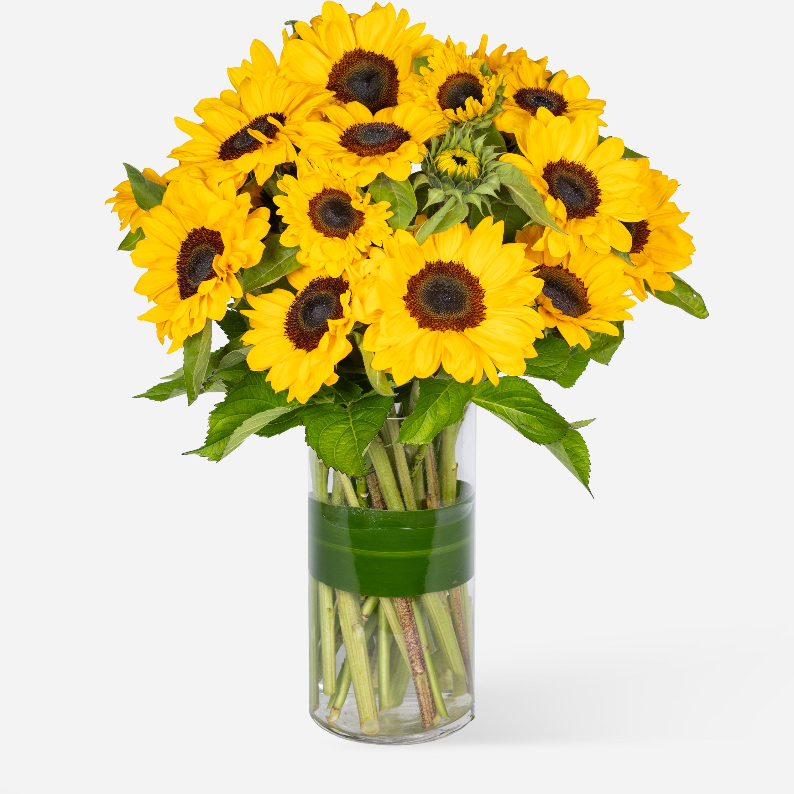 Market Flowers Market Sunflowers Flowers Delivered Market Flowers