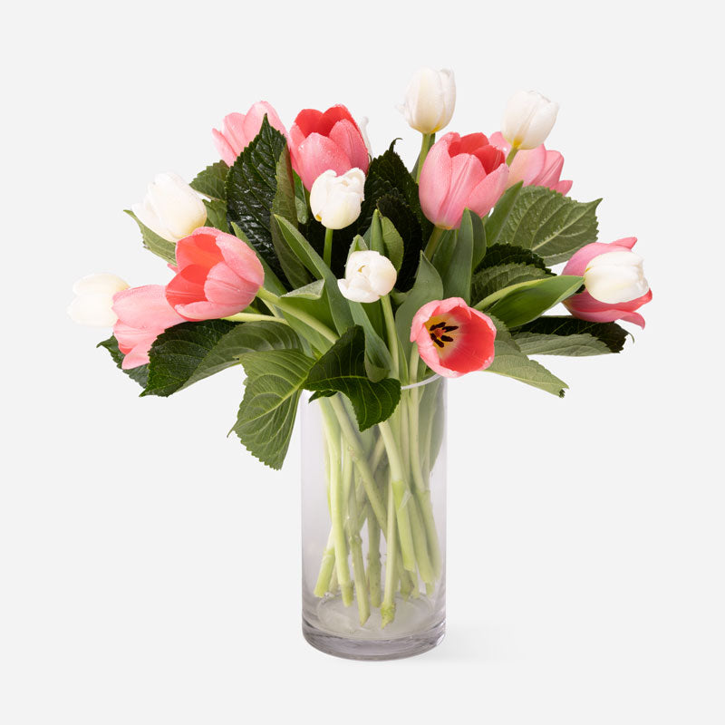 Premium Mixed Market Tulips