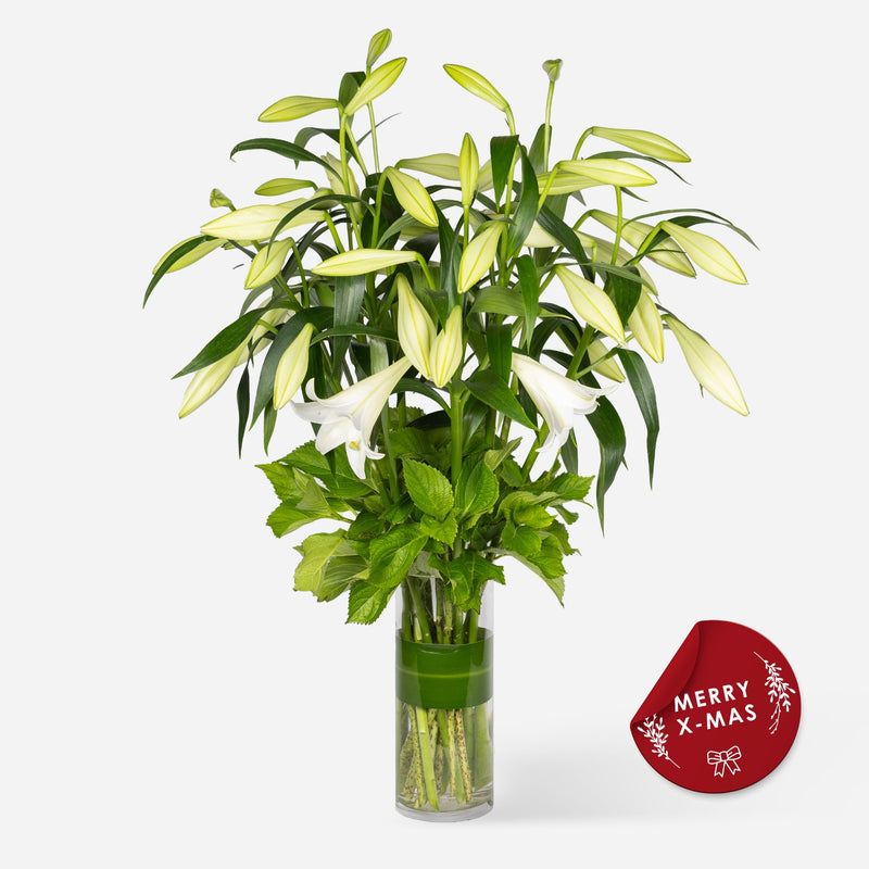 Market X-Mas Lilies